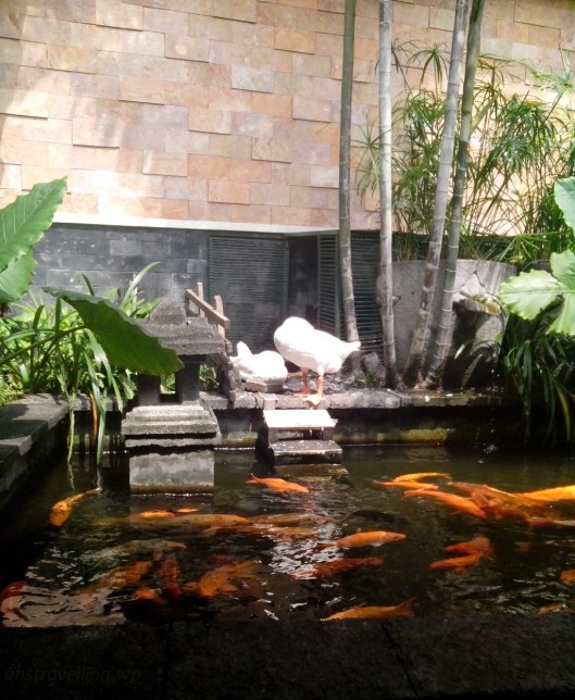 singgasana angsa idup