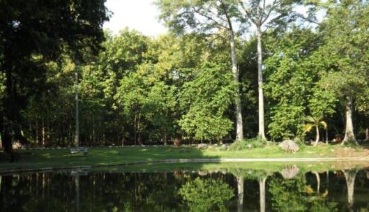 219743_kebun-raya-purwodadi_663_382