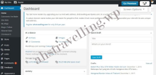 go premium pixelate 800 px2